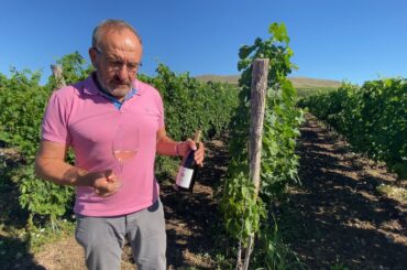 Bessa Valley Enira White 2019 Wine Tasting from the Vineyard