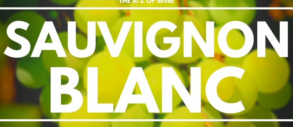 What is SAUVIGNON BLANC - Everything you need to know about this delicious grape.