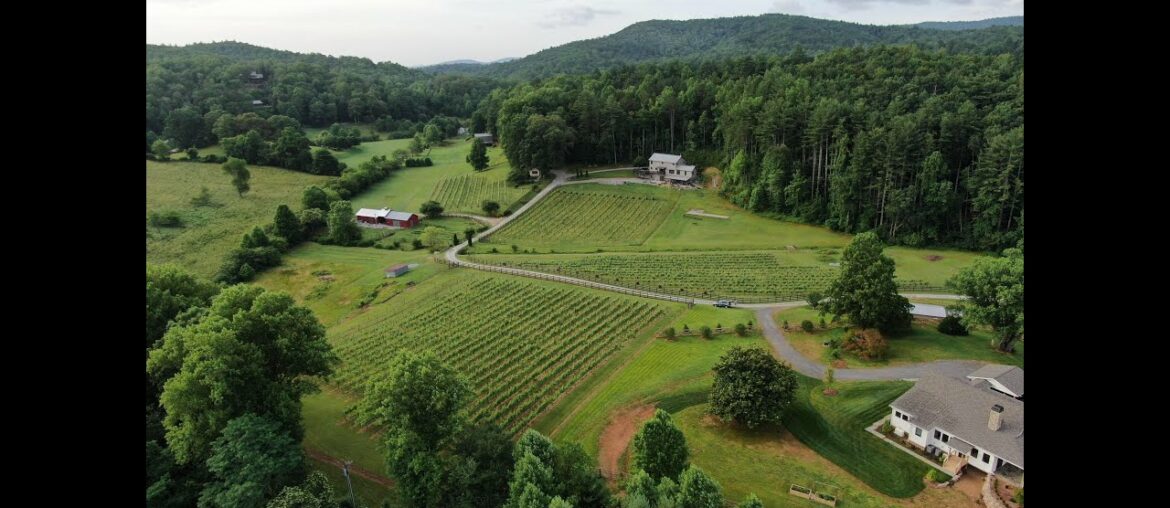 Stonewall Creek Vineyards, Tiger Georgia
