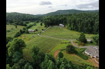 Stonewall Creek Vineyards, Tiger Georgia
