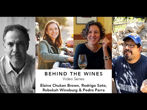 Behind the Wines with Elaine Chukan Brown | Rodrigo Soto, Rebekah Wineburg, Pedro Parra Behind the Wines with Elaine Chukan Brown | Rodrigo Soto, Rebekah Wineburg, Pedro Parra