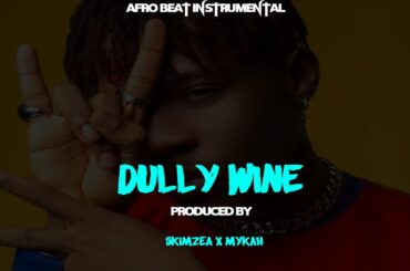 🔥🔥"DULLY WINE" Afro Beat Instrumental JOEBOY Type Beat