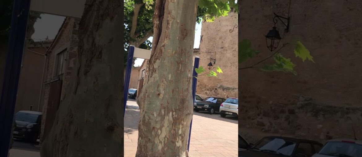 Daily Walk · Small French Village With Events Of The Day Announced Over Loudspeaker · #TheSlowLane