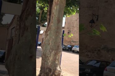 Daily Walk · Small French Village With Events Of The Day Announced Over Loudspeaker · #TheSlowLane