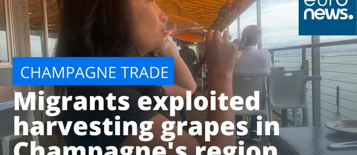 Migrants exploited harvesting grapes in France's Champagne region, court hears
