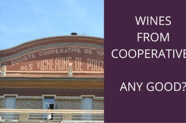 Cooperative Wines: Are they any good?