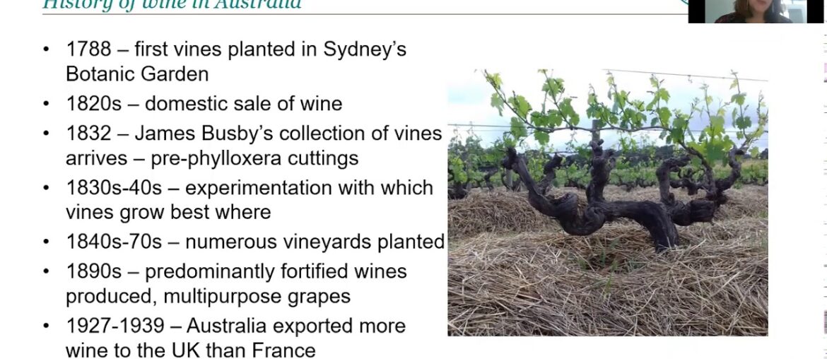 The Old Vines of Barossa with Julia Lambeth DipWSET The Old Vines of Barossa with Julia Lambeth DipWSET