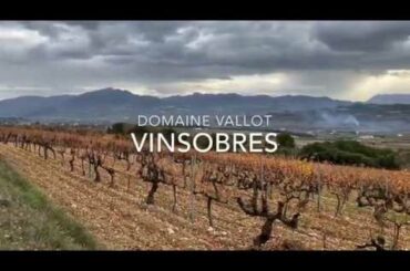 In the Vineyard: Domaine Vallot Vinsobres - Southern Rhône - French Wine Panorama
