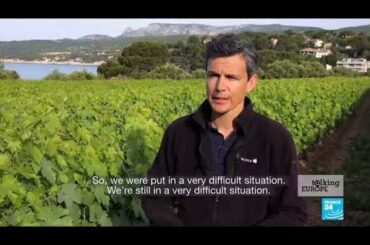 Reaching the bottom of the barrel: Coronavirus pandemic batters European wine production