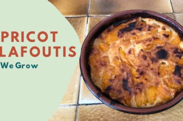 Delicious French Apricot Cake / Clafoutis Recipe