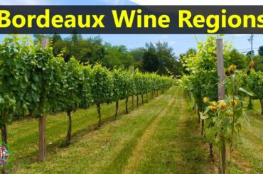 Best Tourist Attractions Places To Travel In France | Bordeaux Wine Regions Destination Spot