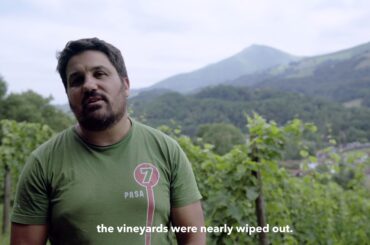 Wines of Irouléguy with Domaine Gutizia • Two Minute Wine School