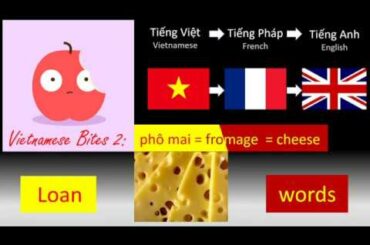 Vietnamese Bites 2: French Loanwords