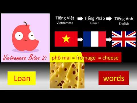Vietnamese Bites 2: French Loanwords Vietnamese Bites 2: French Loanwords