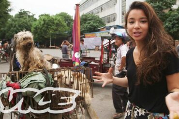 Dining on Dogs in Yulin: VICE Reports (Full Length)