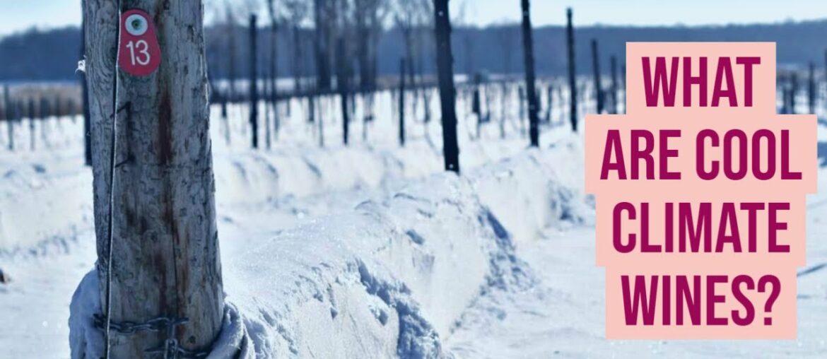 What are Cool Climate Wines?