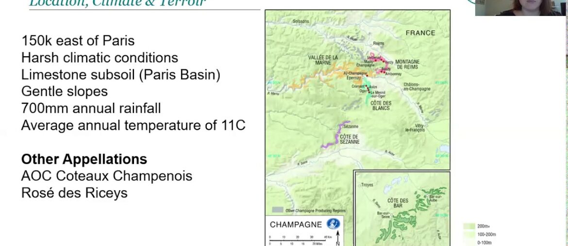 Discover Champagne with Lauren Denyer DipWSET