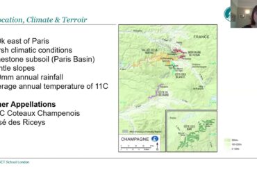 Discover Champagne with Lauren Denyer DipWSET