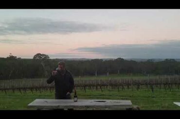 Taste Then Drink Episode 9: Single Site Series - Marsannay 'Les Longeroies'