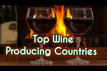 TOP WINE PRODUCING COUNTRY IN THE WORLD