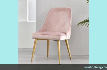 ✓Nordic dining chair home restaurant chair chair modern minimalist des