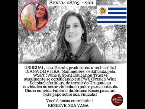 Vinhos do Uruguai – Seus produtores e Terroir Vinhos do Uruguai - Seus produtores e Terroir