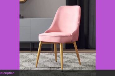 ✅Home dining chair Nordic creative leisure soft cafe modern minimalist
