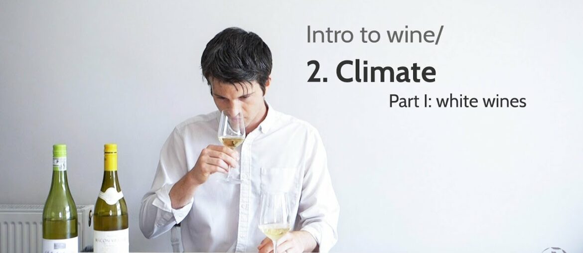 Intro to wine/ 2. Climate (white wines) | Wine with Andy