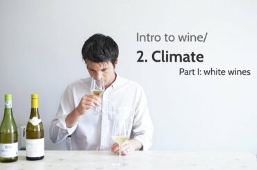 Intro to wine/ 2. Climate (white wines) | Wine with Andy