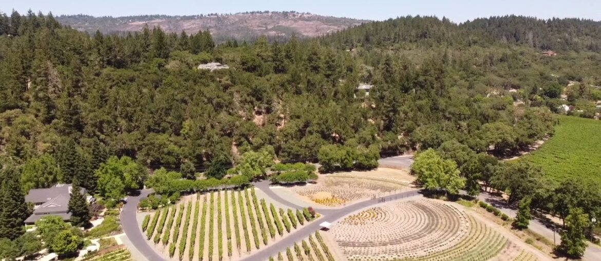 HD Drone flight – Auberge du Soleil Napa, CA and Rutherford Winery HD Drone flight - Auberge du Soleil Napa, CA and Rutherford Winery