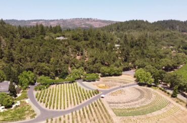 HD Drone flight - Auberge du Soleil Napa, CA and Rutherford Winery