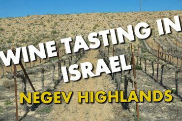 WINE TASTING IN ISRAEL'S NEGEV HIGHLANDS