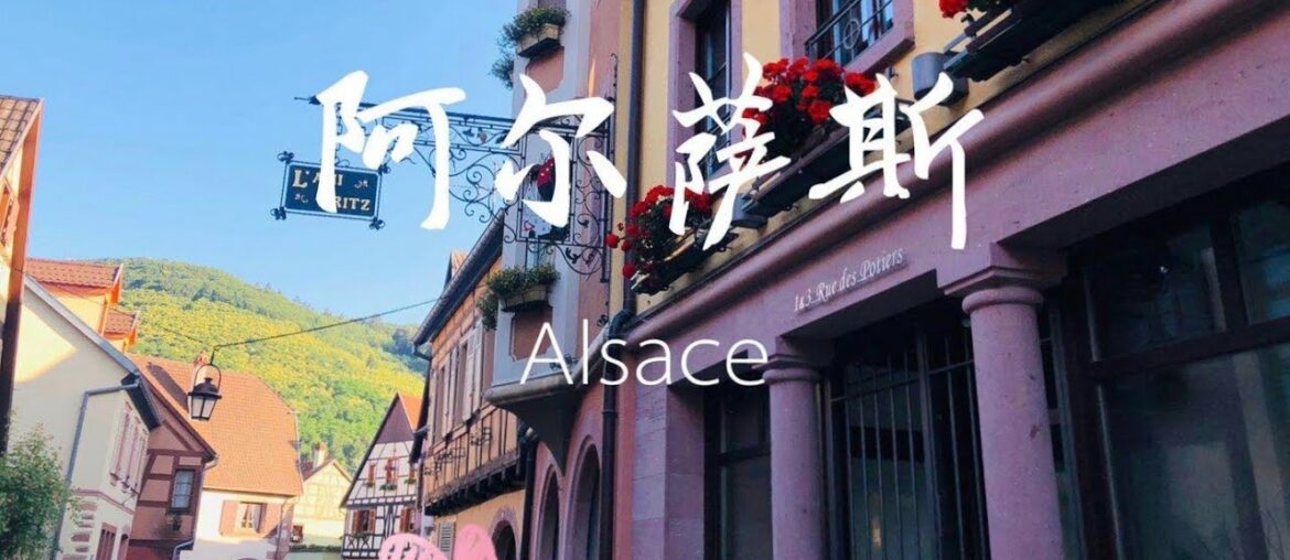 Alsace Wine Tour Vlog：Discovery of the Terroir