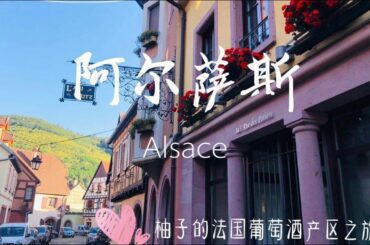 Alsace Wine Tour Vlog：Discovery of the Terroir