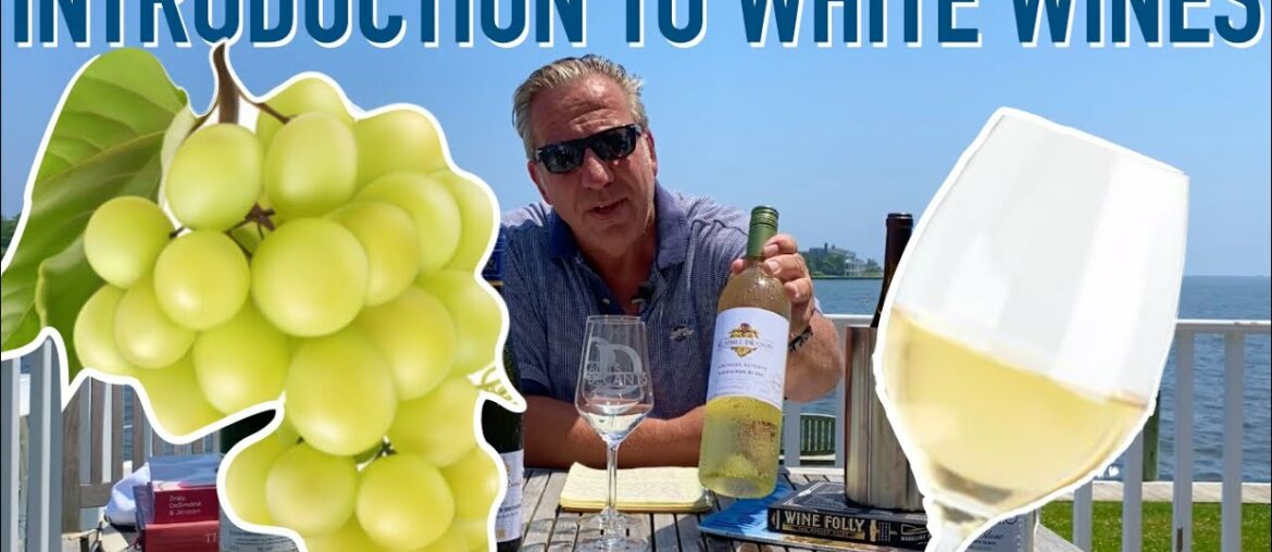 Introduction to White Wine || Chardonnay, Riesling, & Sauv Blanc || Decants With D