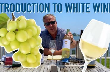Introduction to White Wine || Chardonnay, Riesling, & Sauv Blanc || Decants With D