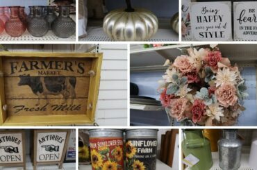 MICHAELS NEW FALL FARMHOUSE & FRENCH COUNTRY/SHABBY CHIC DECOR 2020 | Episode 1