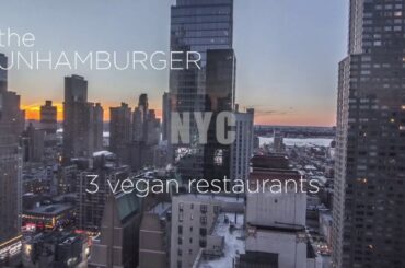3 day NYC trip - 3 vegan fine dining restaurants in Downtown New York City (September 2019)