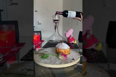 Wine decanting - French Wine Château Haut-Brisson Saint-Emilon Grand cry