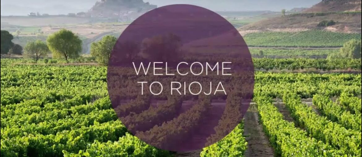 Ultimate Video Guide to the Rioja Wine Region