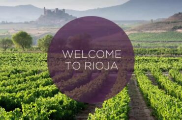 Ultimate Video Guide to the Rioja Wine Region