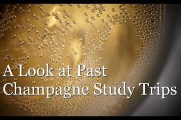 A Look at Past Champagne Study Trips with the Wine Scholar Guild