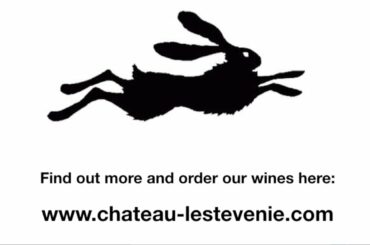 Award winning wines from wine makers at Chateau Lestevenie, France