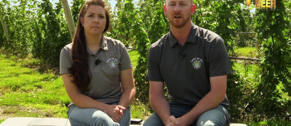 Healthy Soil Equals Good Hops - Zachrich Hopyard/Talking Beer #BehindTheBrew 7.15.20