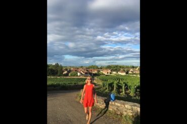 How to bring French style into your garden