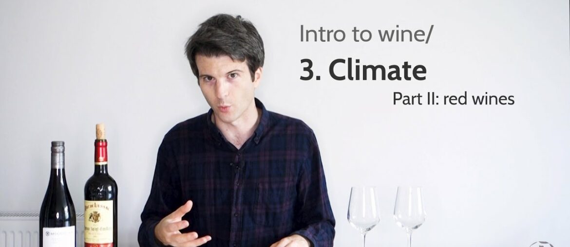 Intro to wine/ 3. Climate (red wines) | Wine with Andy