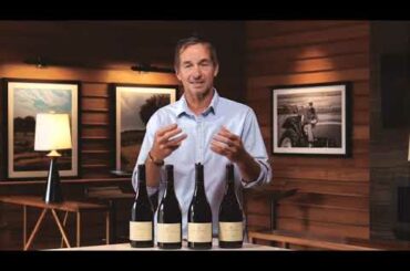 Lucienne Wines 2018 Vintage Spotlight