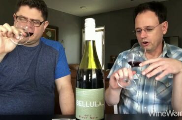 2017 Bellula Pinot Noir Languedoc France JP Bourgeois Imports Red Wine