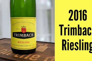 2016 Trimbach Riesling Wine Review