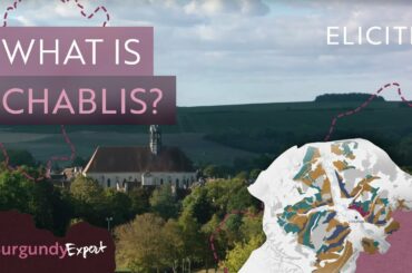 Discover The Chablis Wine Region